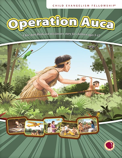 Operation Auca